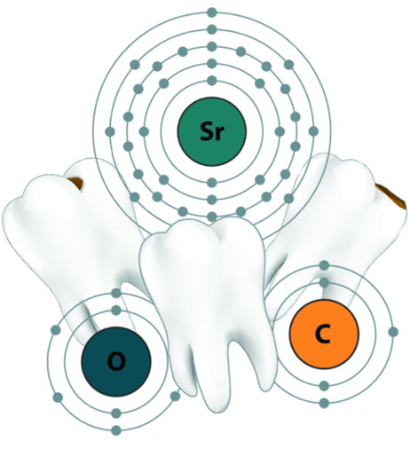 tooth image